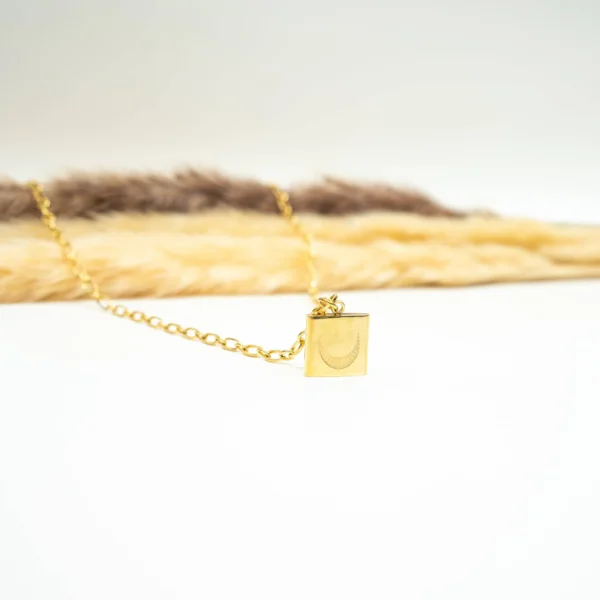 Locked Crescent Pendant - Image 4